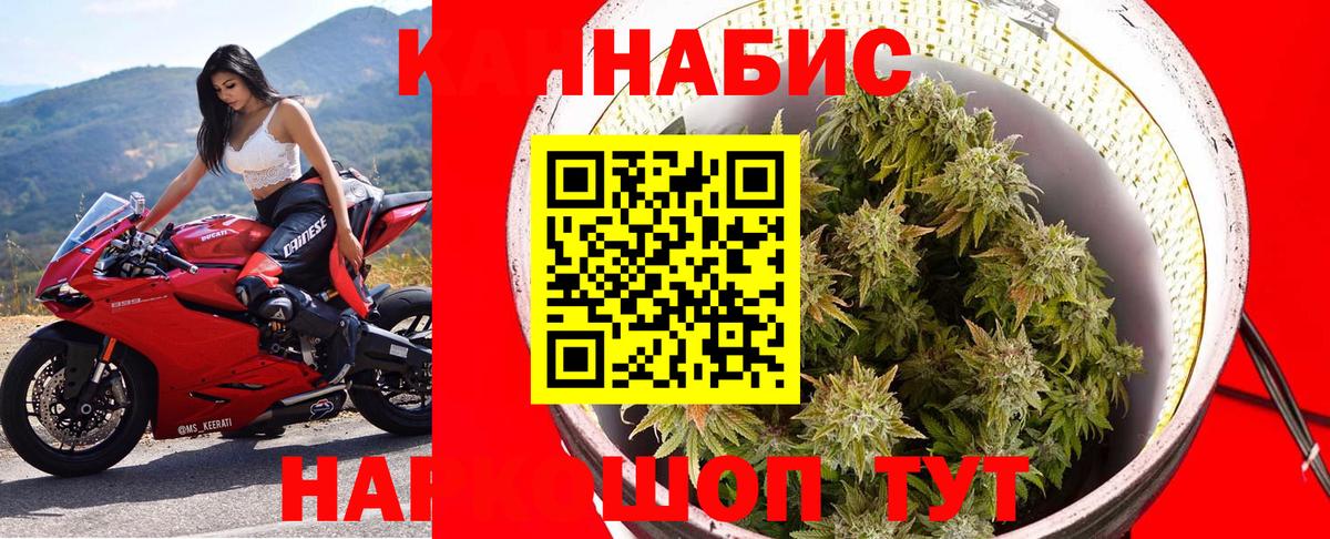 Каннабис марихуана  Вход с VPN  Бошки Шишки гибрид  Дмитров  МАРИХУАНА семена  Марихуана Bruce Banner 